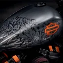 EasyRider125